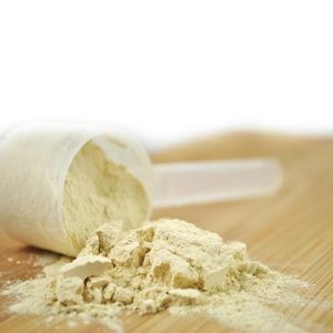 Protein Powder